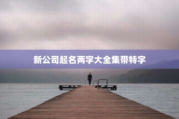 新公司起名两字大全集带特字