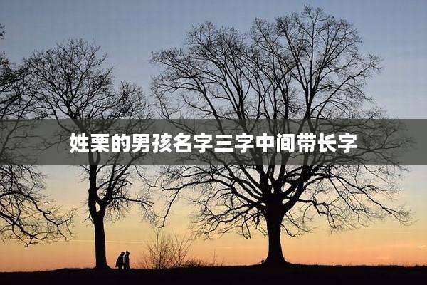 姓栗的男孩名字三字中间带长字