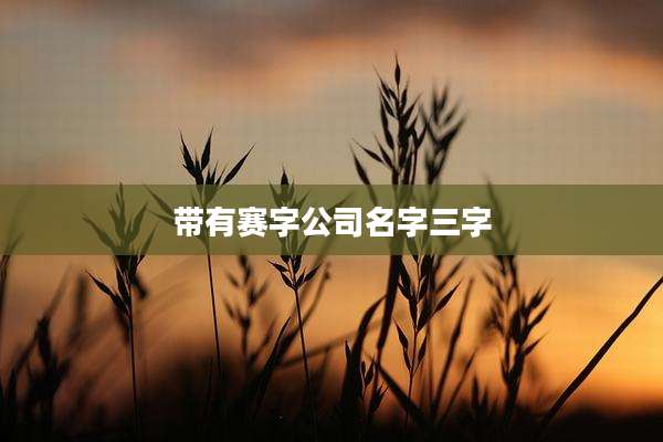 带有赛字公司名字三字