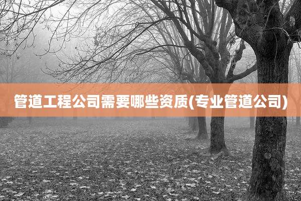 管道工程公司需要哪些资质(专业管道公司)