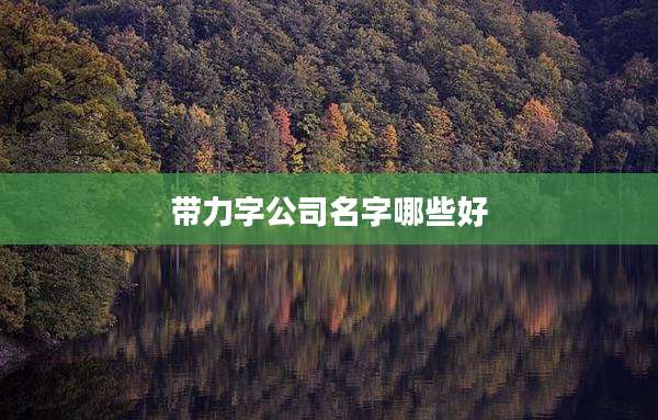 带力字公司名字哪些好