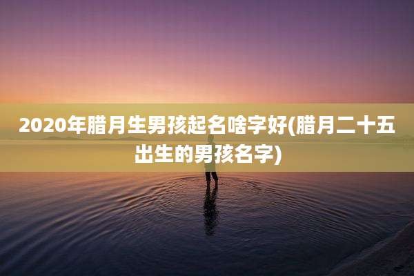 2020年腊月生男孩起名啥字好(腊月二十五出生的男孩名字)