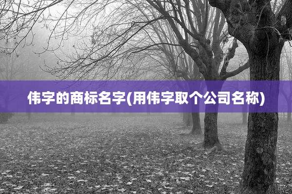伟字的商标名字(用伟字取个公司名称)