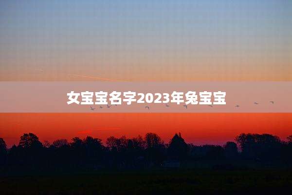 女宝宝名字2023年兔宝宝