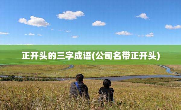 正开头的三字成语(公司名带正开头)