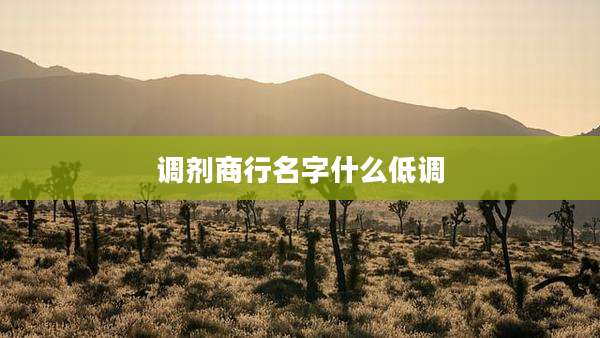 调剂商行名字什么低调