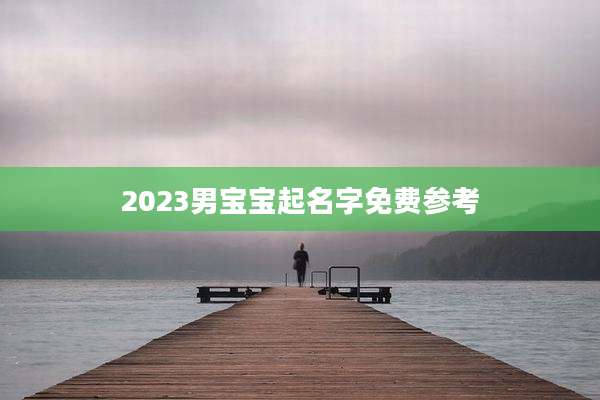 2023男宝宝起名字免费参考