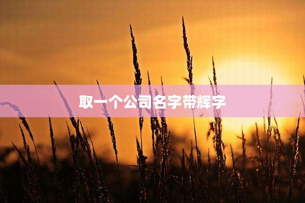 取一个公司名字带辉字