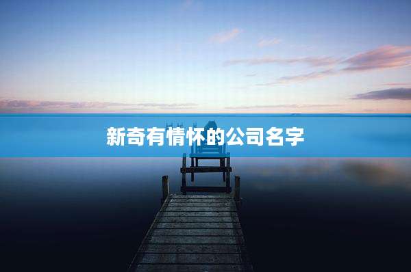 新奇有情怀的公司名字