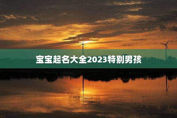 宝宝起名大全2023特别男孩