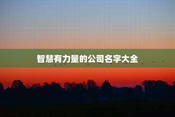 智慧有力量的公司名字大全