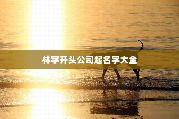 林字开头公司起名字大全