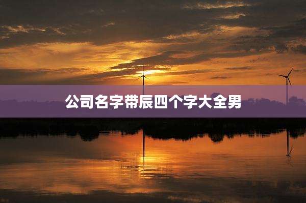 公司名字带辰四个字大全男