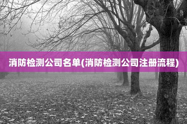 消防检测公司名单(消防检测公司注册流程)