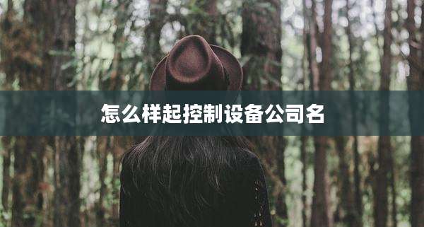 怎么样起控制设备公司名