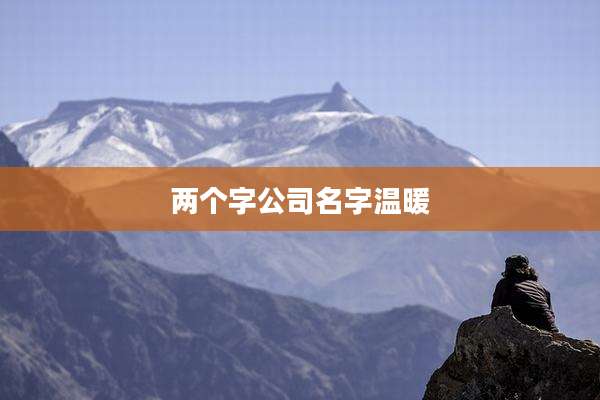 两个字公司名字温暖