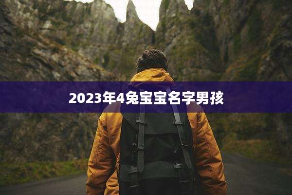 2023年4兔宝宝名字男孩