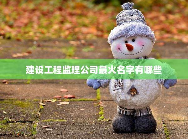 建设工程监理公司最火名字有哪些