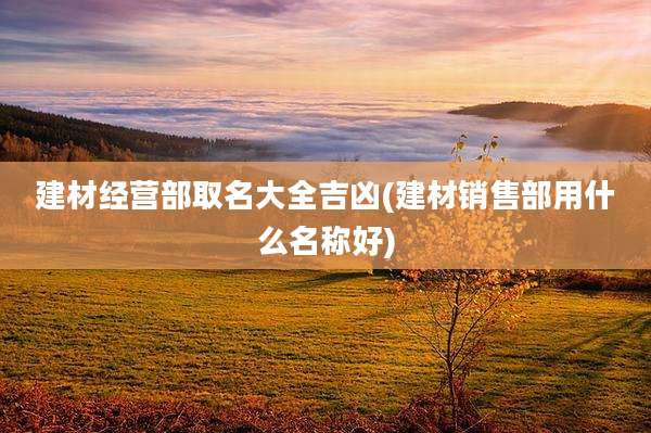 建材经营部取名大全吉凶(建材销售部用什么名称好)