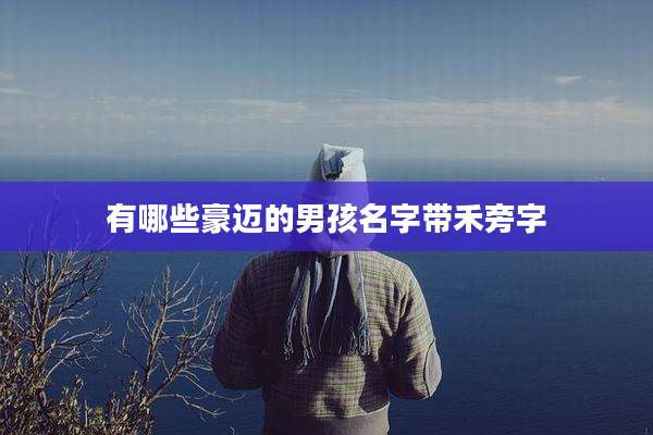 有哪些豪迈的男孩名字带禾旁字