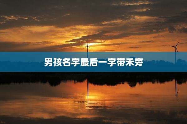 男孩名字最后一字带禾旁