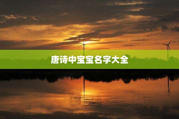 唐诗中宝宝名字大全