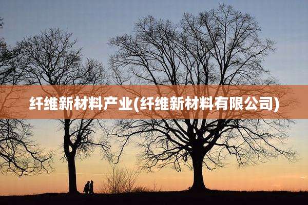 纤维新材料产业(纤维新材料有限公司)