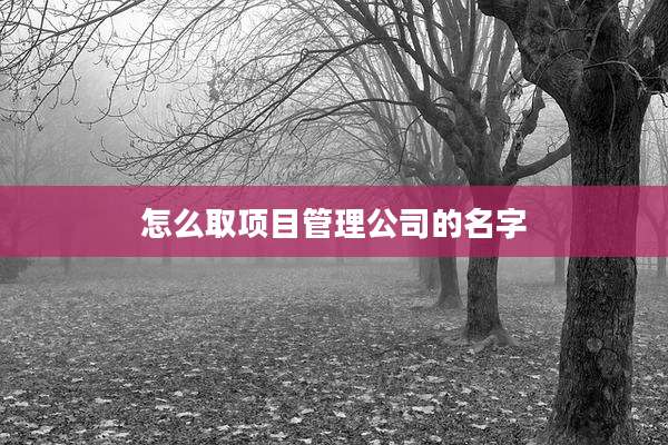 怎么取项目管理公司的名字