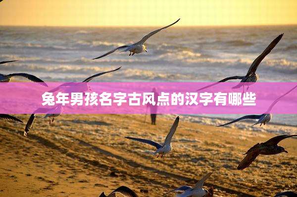 兔年男孩名字古风点的汉字有哪些