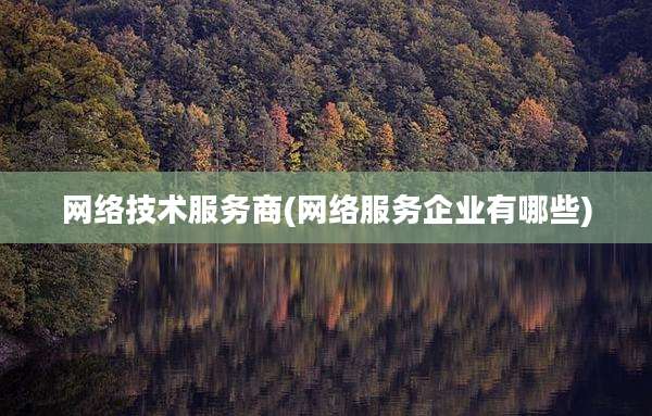 网络技术服务商(网络服务企业有哪些)