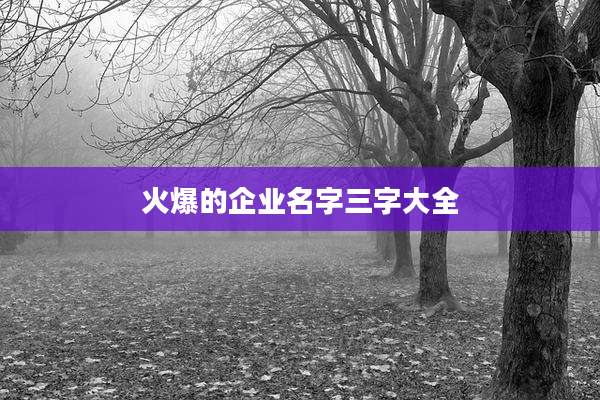 火爆的企业名字三字大全