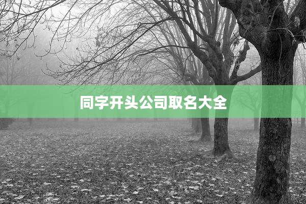同字开头公司取名大全