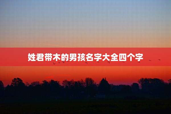 姓君带木的男孩名字大全四个字