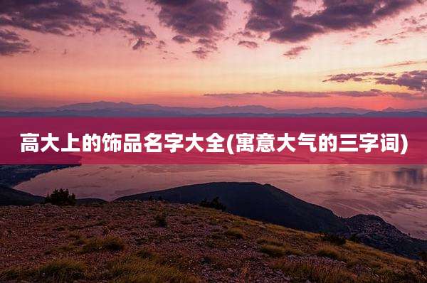 高大上的饰品名字大全(寓意大气的三字词)