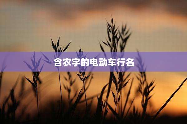 含农字的电动车行名