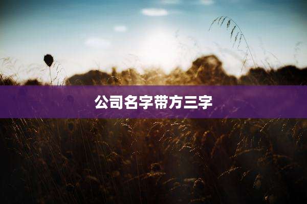 公司名字带方三字