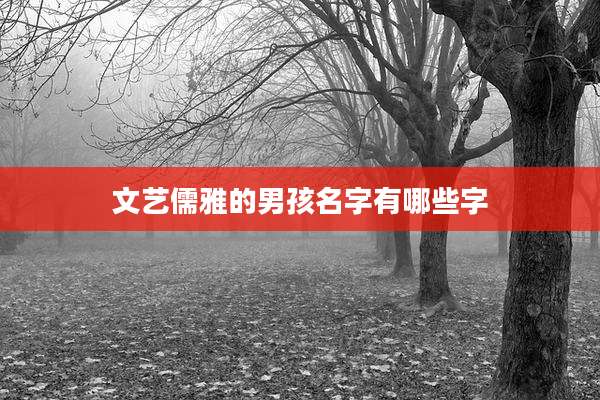 文艺儒雅的男孩名字有哪些字
