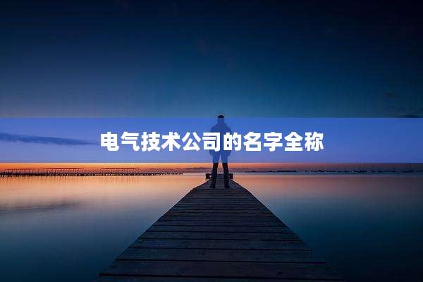 电气技术公司的名字全称