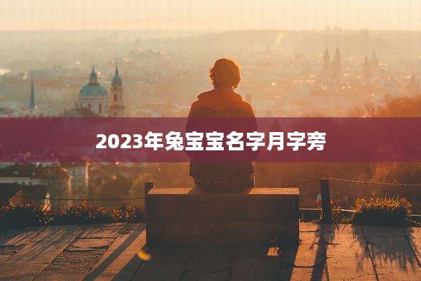 2023年兔宝宝名字月字旁