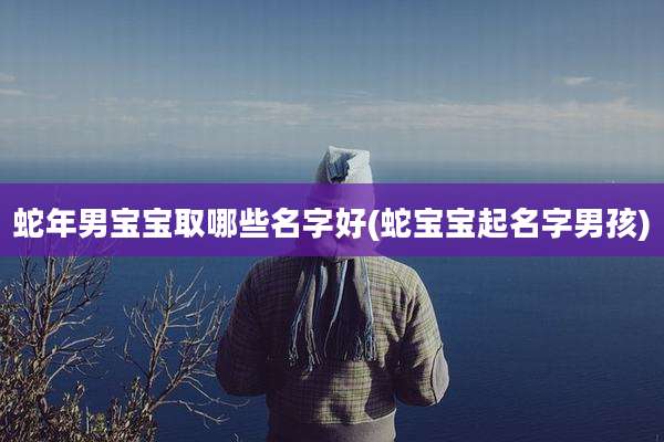 蛇年男宝宝取哪些名字好(蛇宝宝起名字男孩)