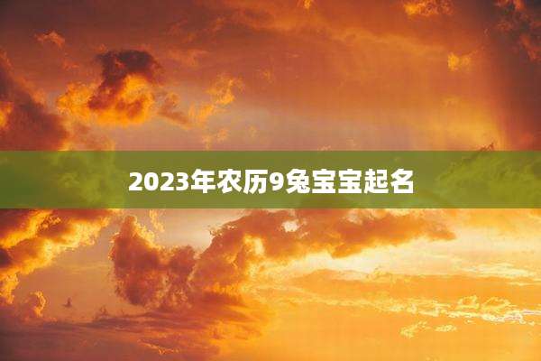 2023年农历9兔宝宝起名