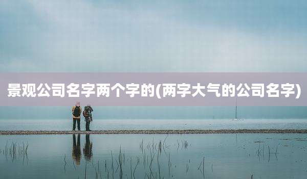景观公司名字两个字的(两字大气的公司名字)
