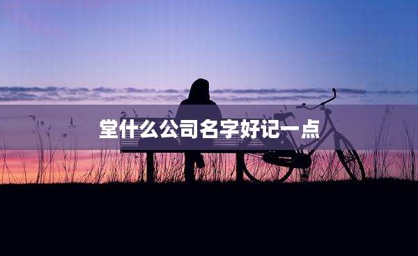 堂什么公司名字好记一点