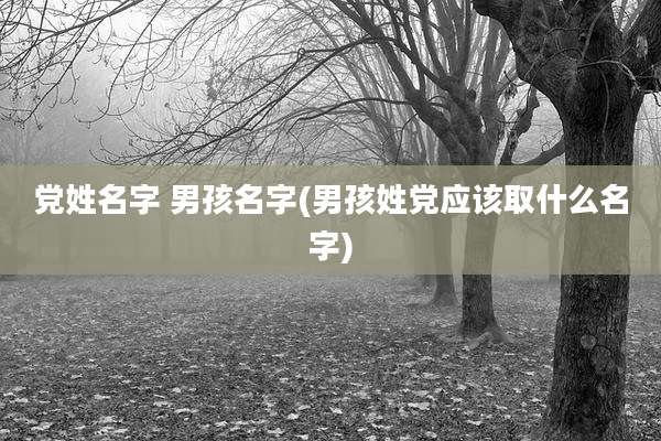 党姓名字 男孩名字(男孩姓党应该取什么名字)