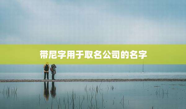 带尼字用于取名公司的名字