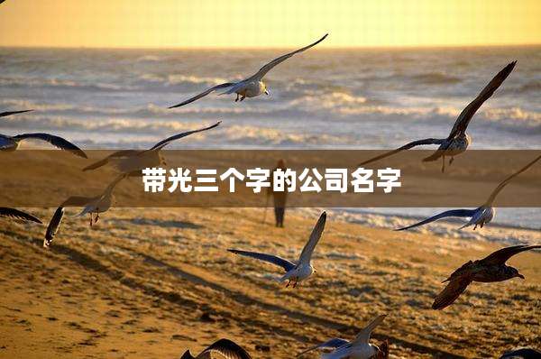 带光三个字的公司名字