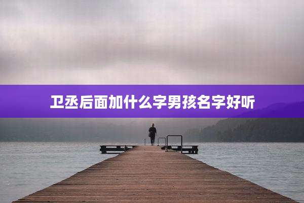 卫丞后面加什么字男孩名字好听