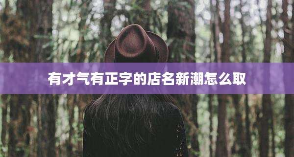 有才气有正字的店名新潮怎么取