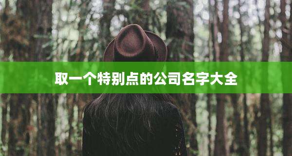 取一个特别点的公司名字大全