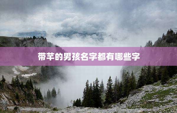带芊的男孩名字都有哪些字